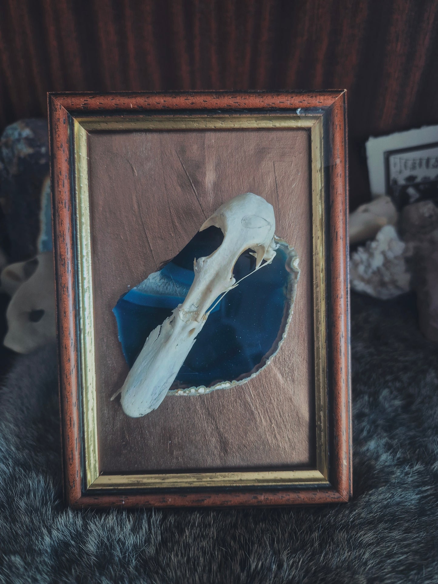 Duck Skull Frame