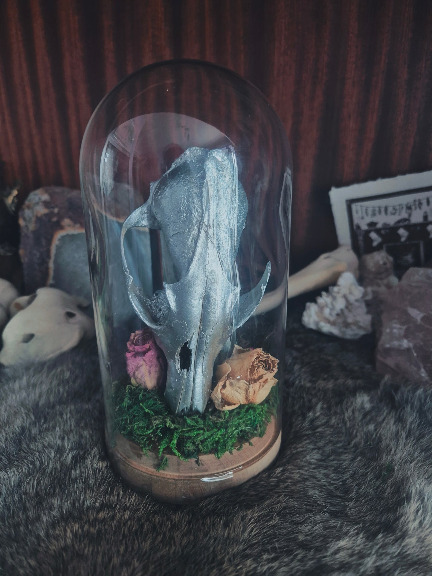 Fox Skull Dome