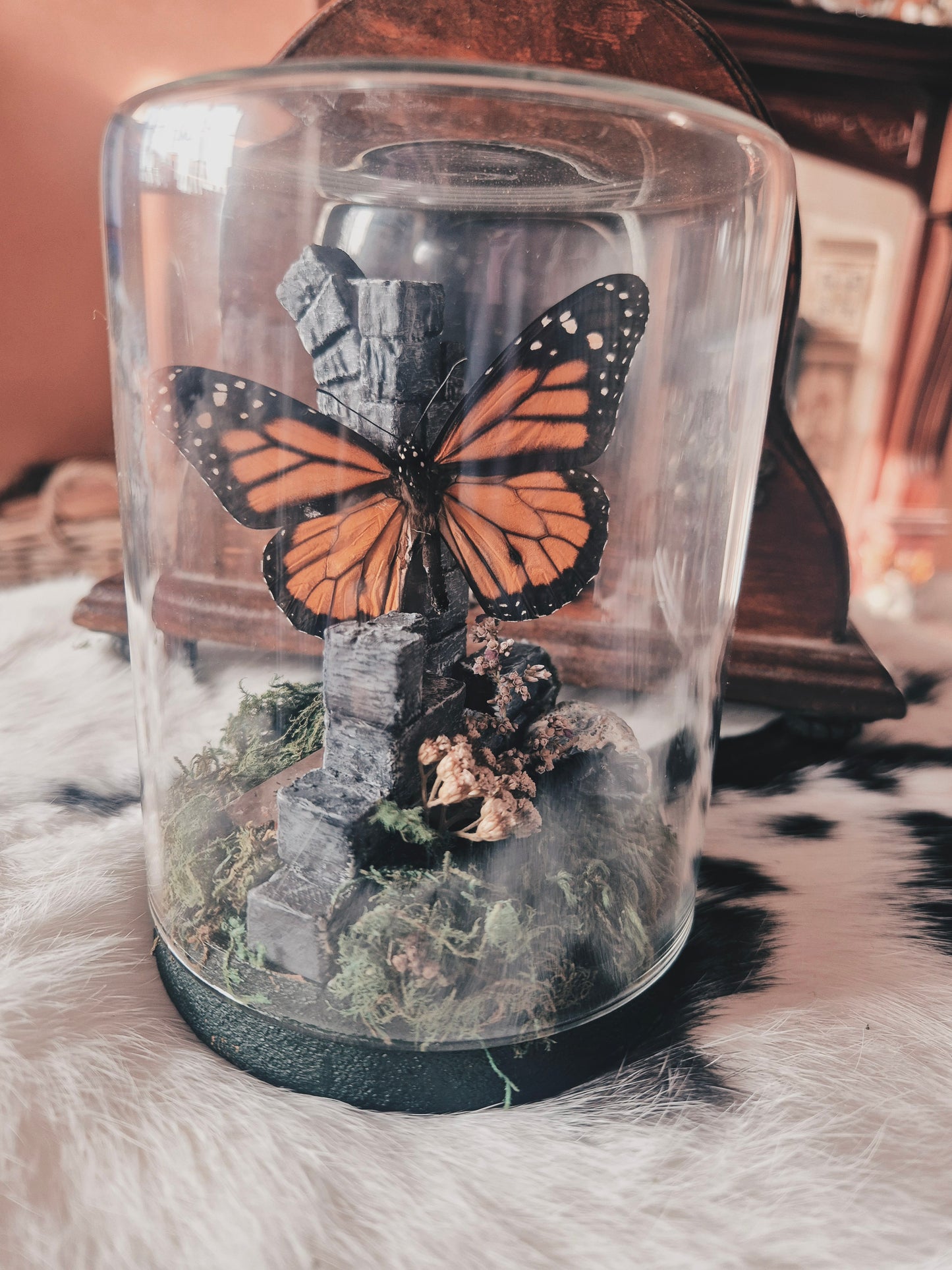 Monarch Butterfly on Ruin