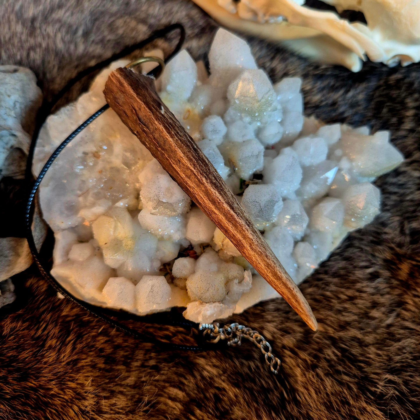 Roe Deer Antler Pendant