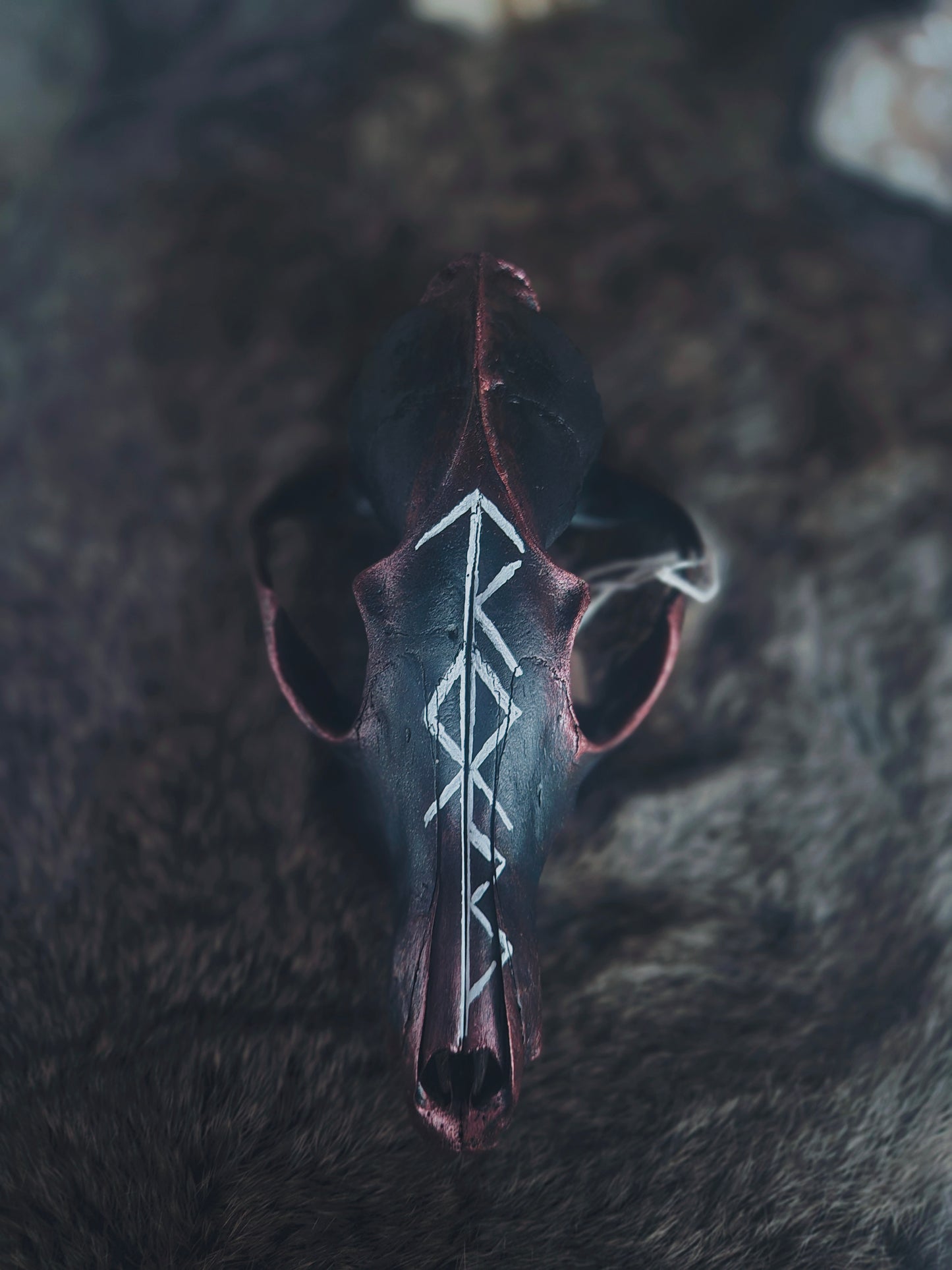 Runic Painted Fox Skull