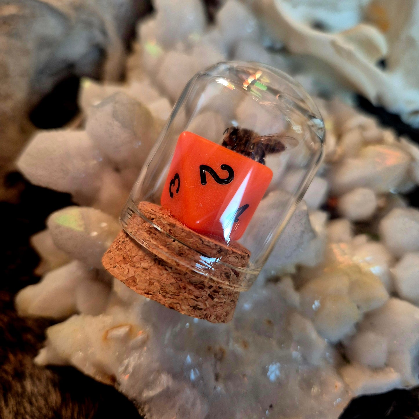 D&D Dice Bee Dome
