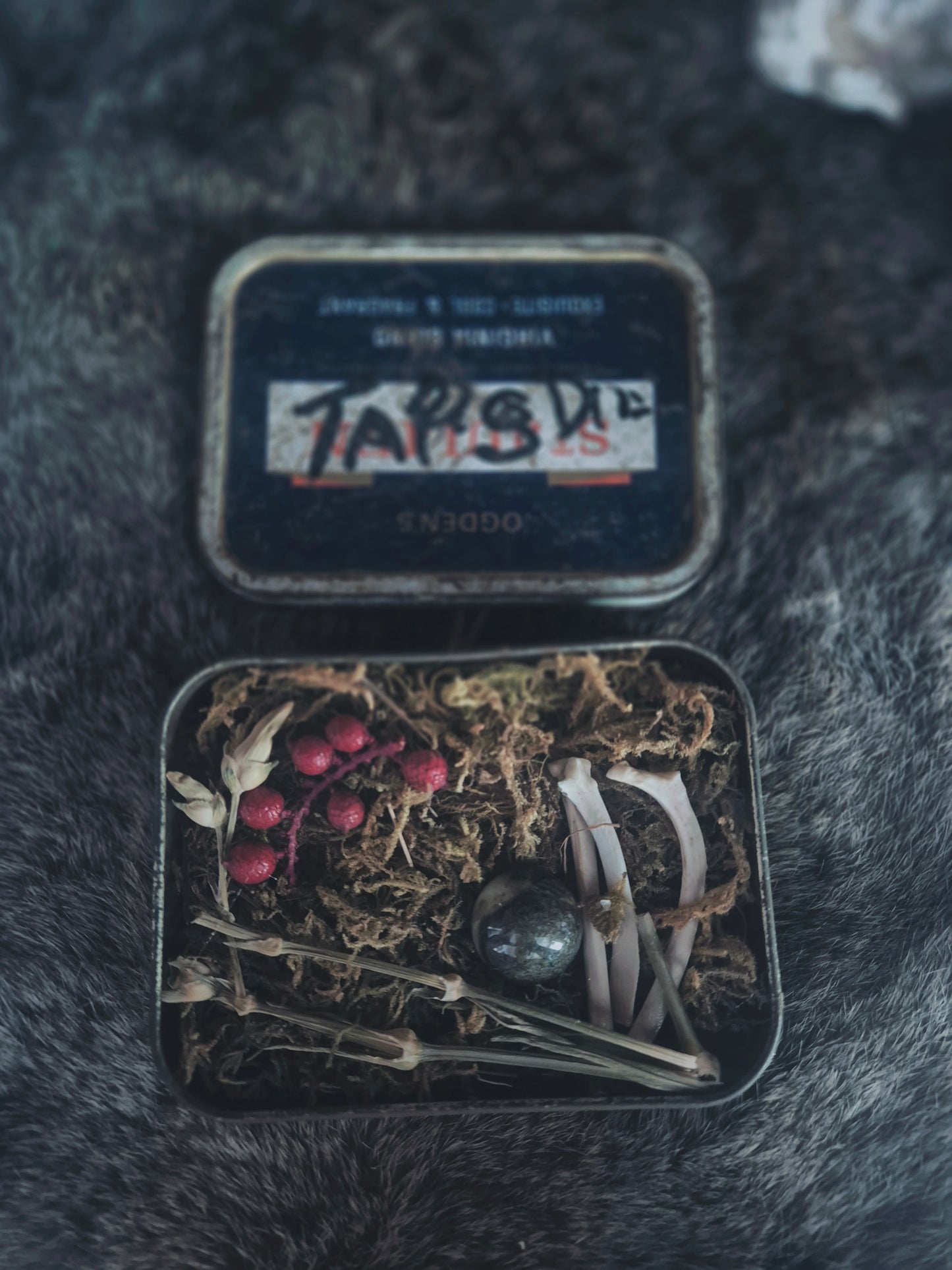 Curio Tin