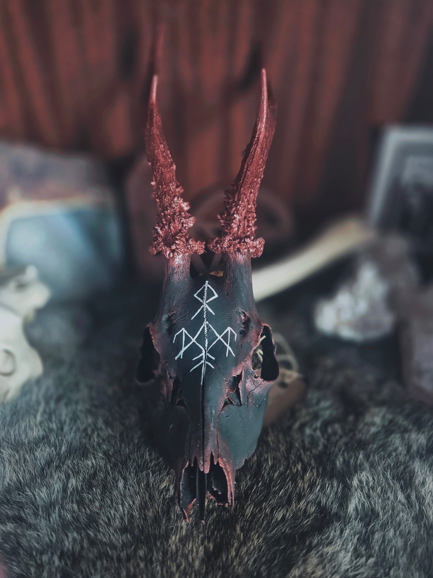 Runic Painted Roe Deer Skull