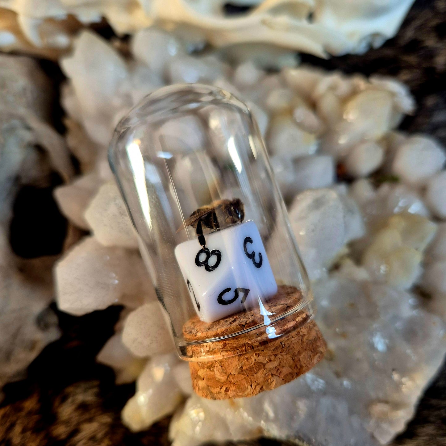 D&D Dice Bee Dome