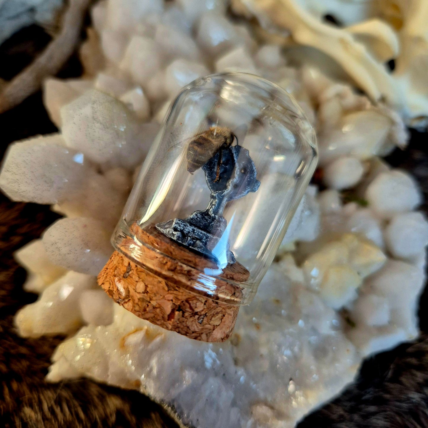 Gravestone Bee Dome