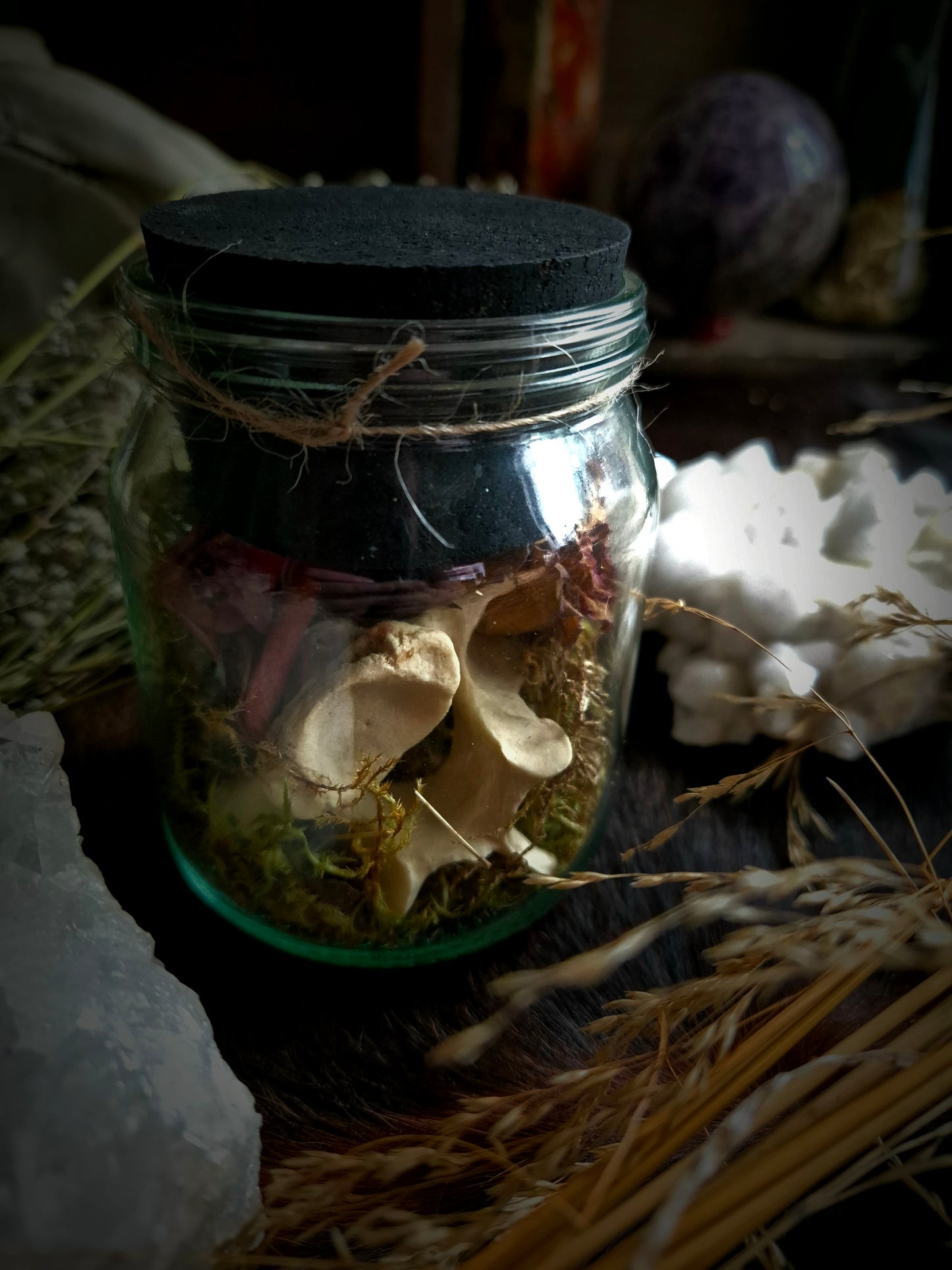 Vertebrae in Jar