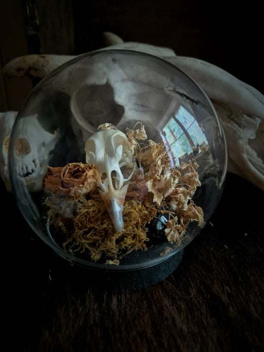 Grouse Skull Bubble Dome