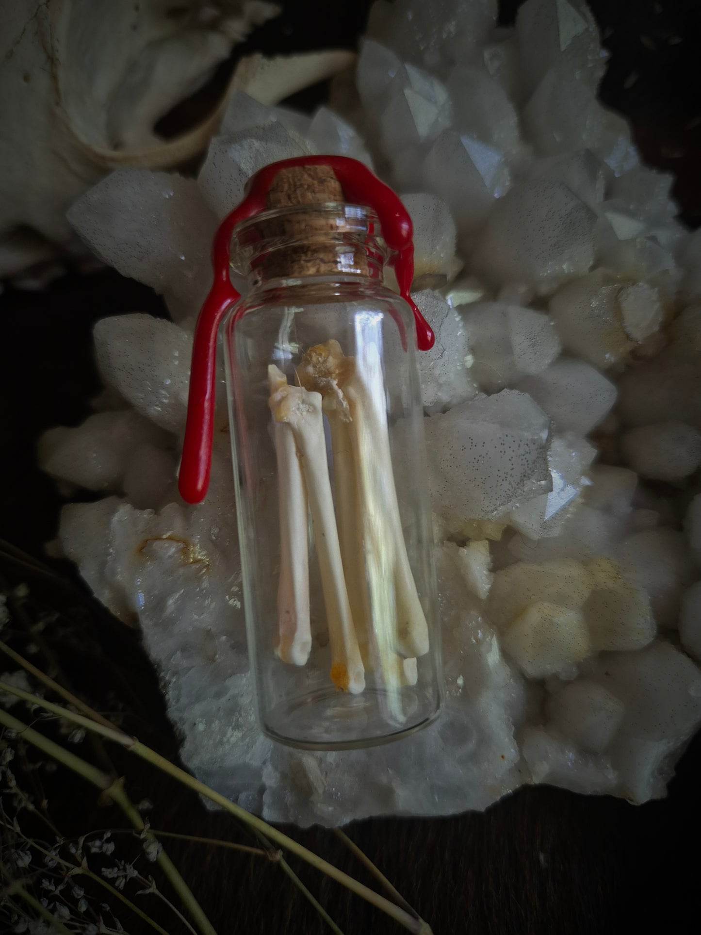 Rabbit Foot Bones Mini Curio Jar