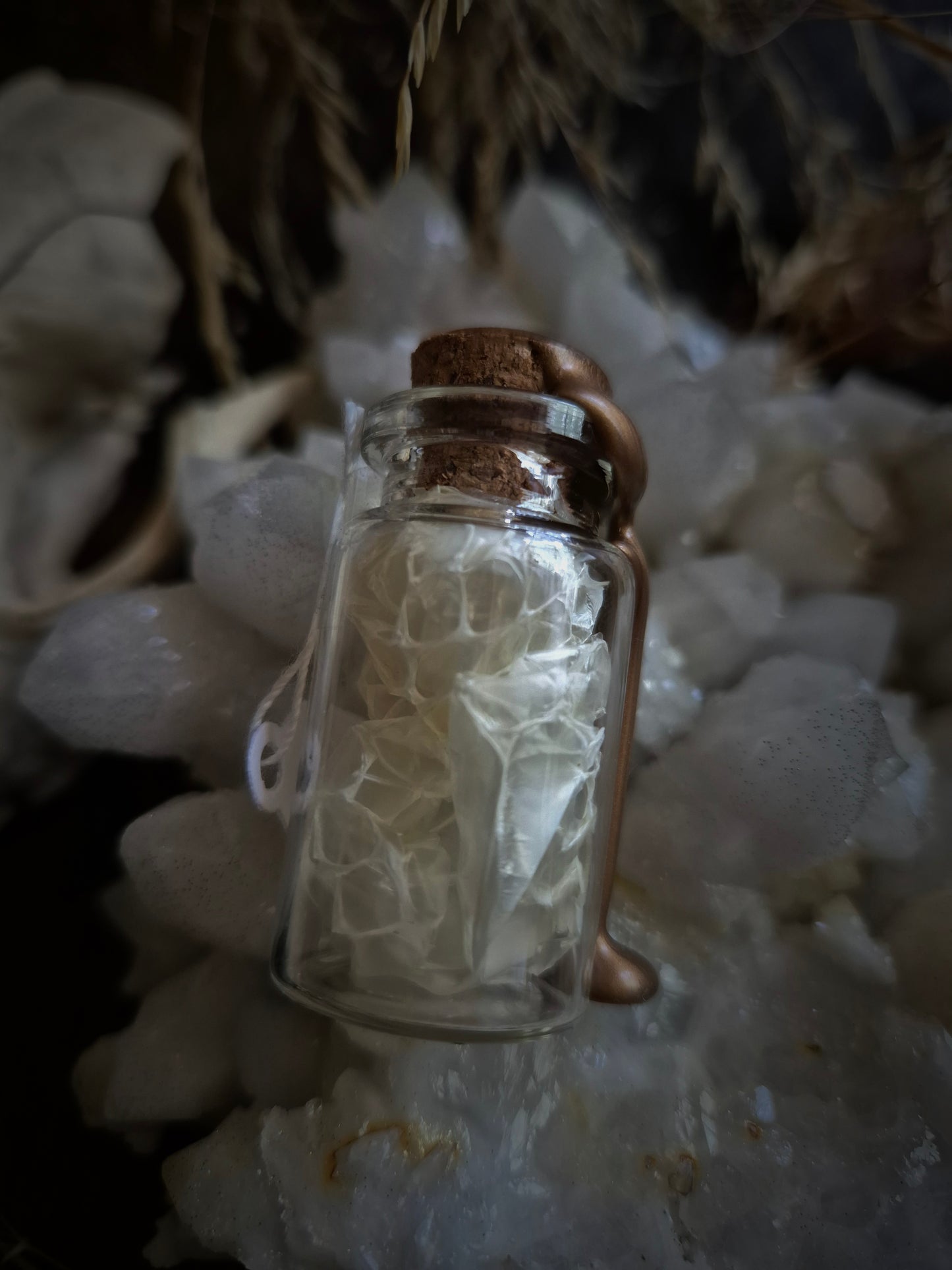 Snake Skin Mini Curio Jar