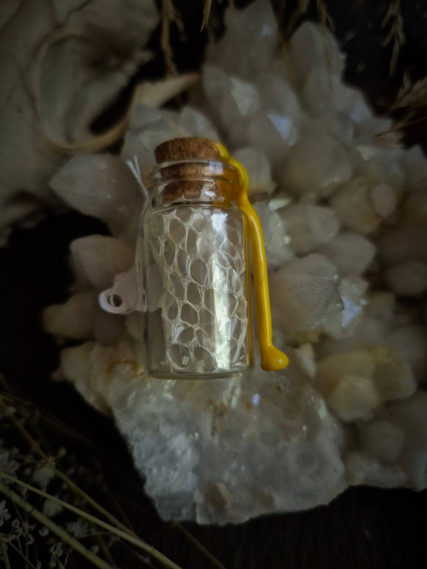 Snake Skin Mini Curio Jar