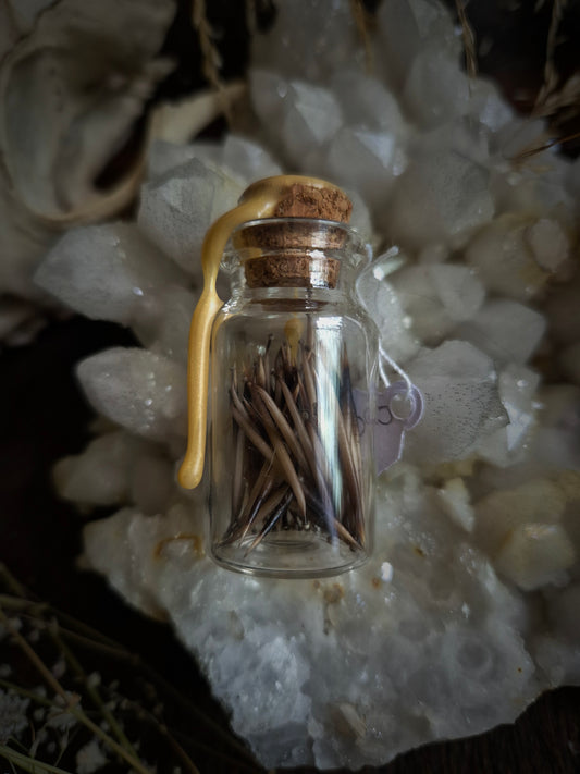 Hedgehog Spine Mini Jar