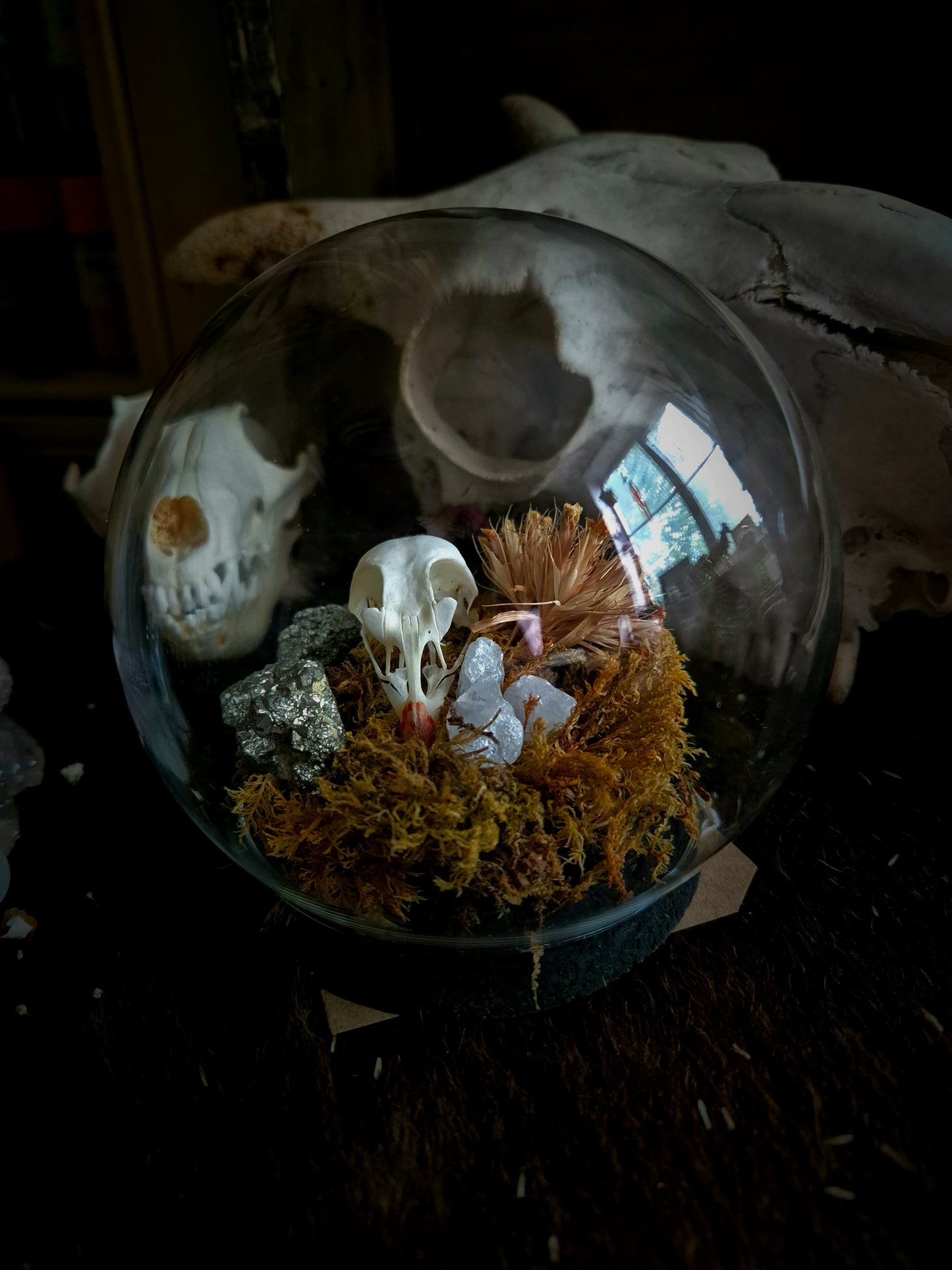 Partridge Skull Dome