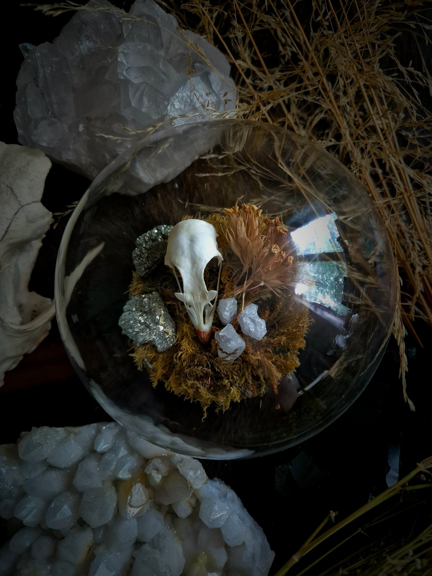 Partridge Skull Dome