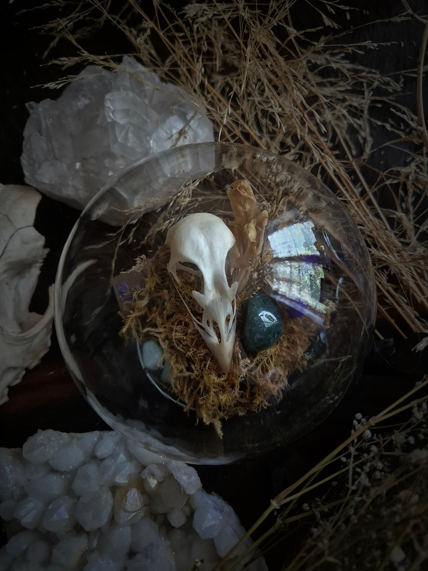 Grouse Skull Dome