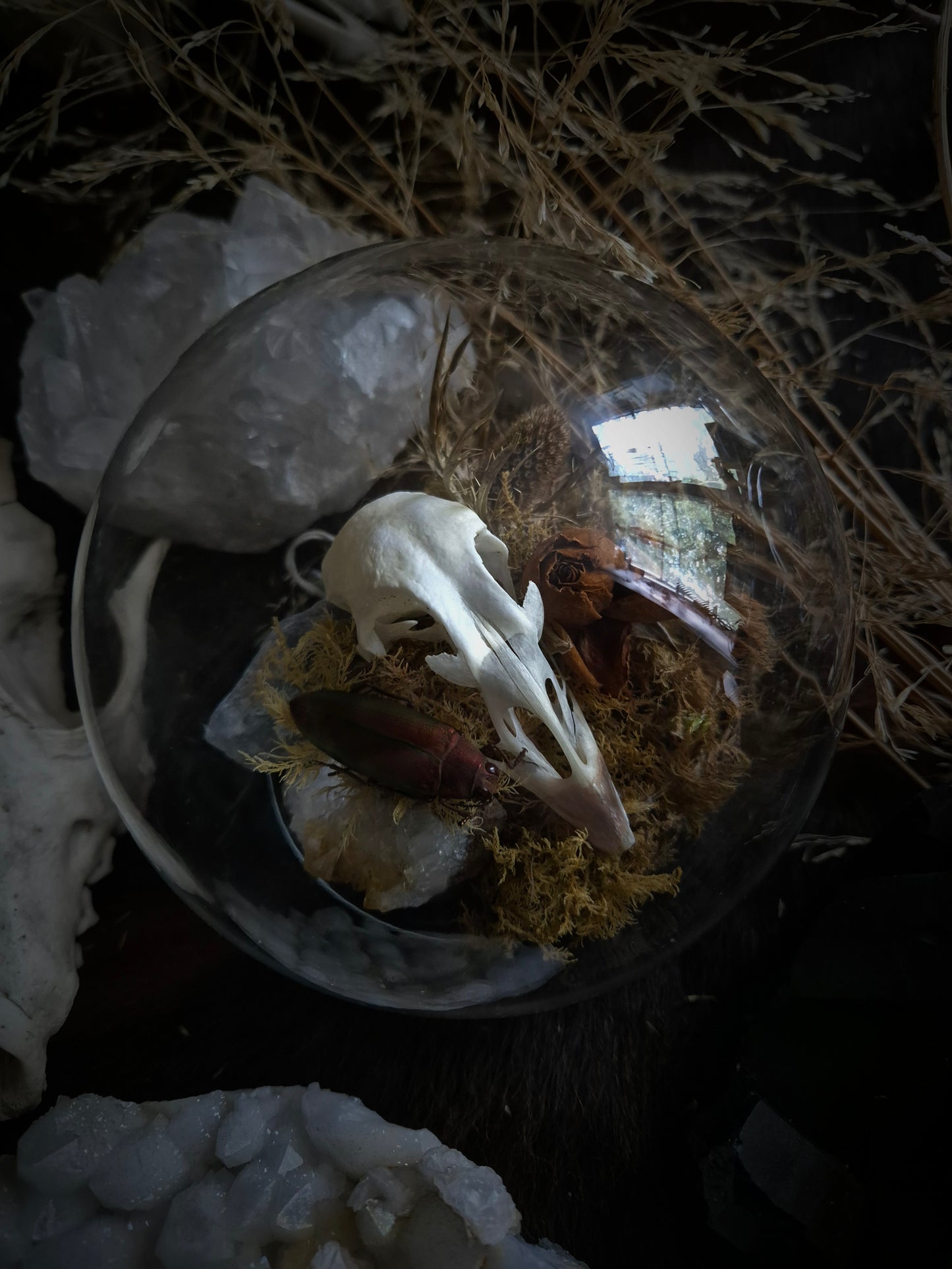 Grouse Skull Dome