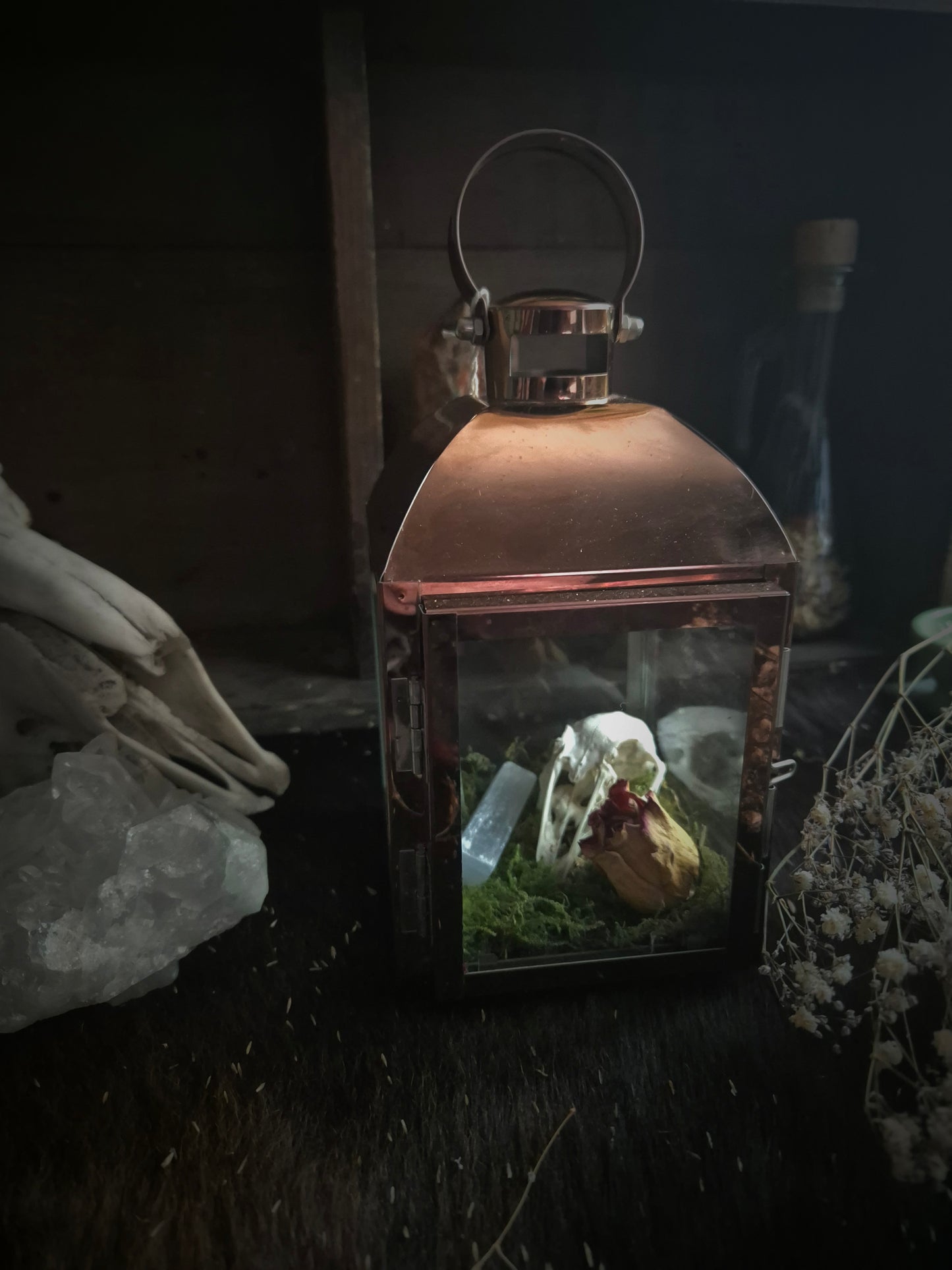 Rabbit Skull Lantern