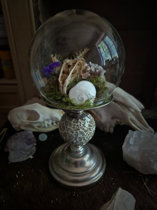 Rabbit Skull and Butterfly Dome on Stand