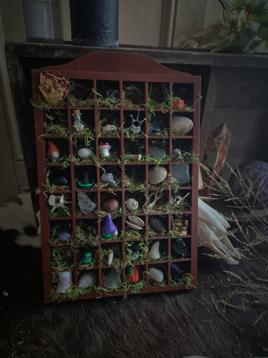 Large Curio Shelf