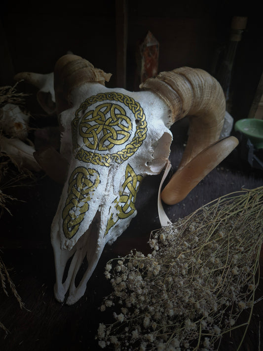 Celtic Ram Skull