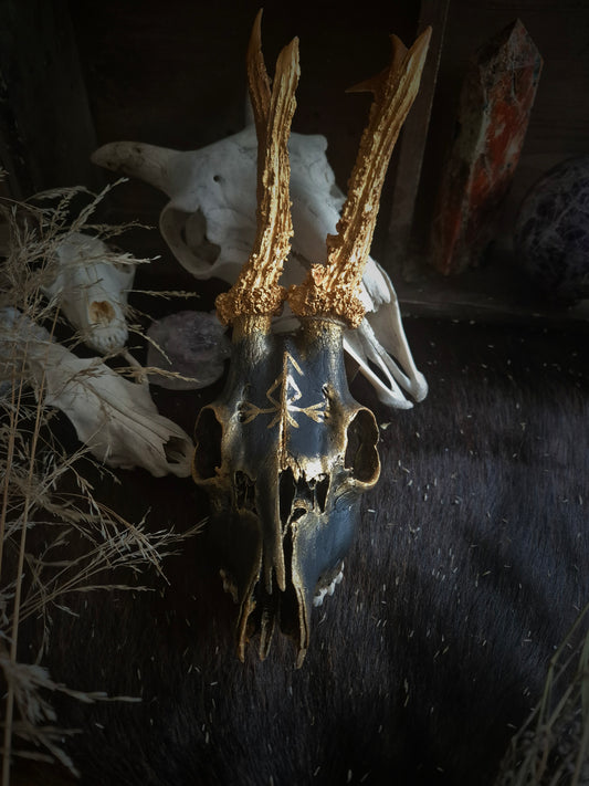 Handpainted Deer Skull