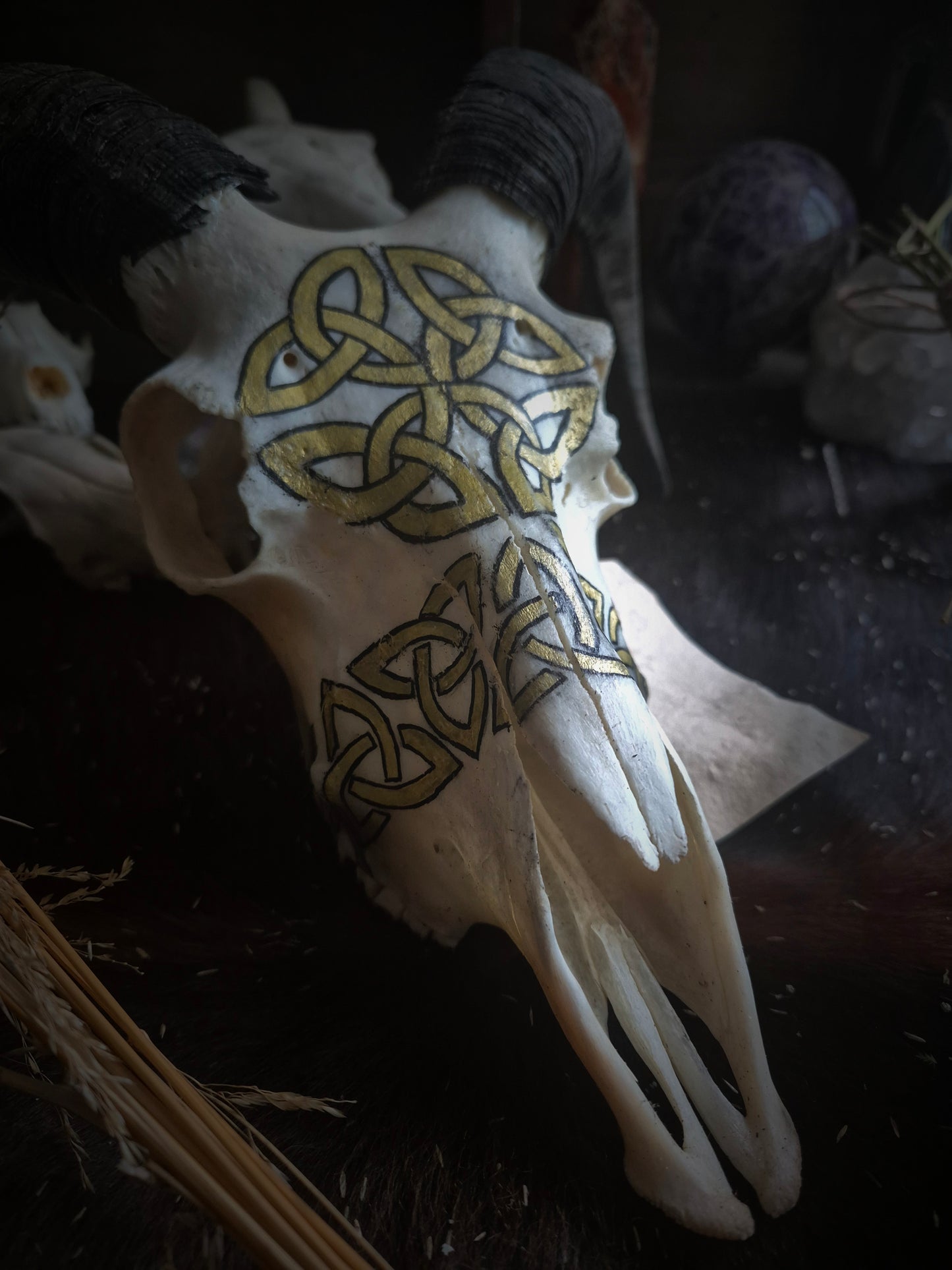 Celtic Horned Sheep Skull