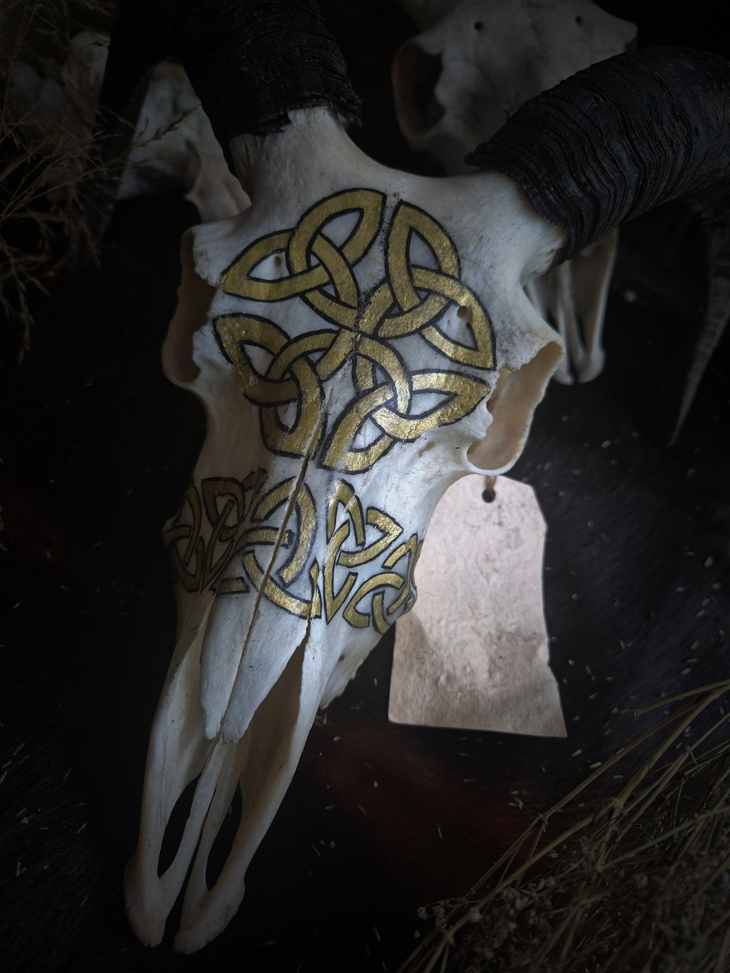 Celtic Horned Sheep Skull