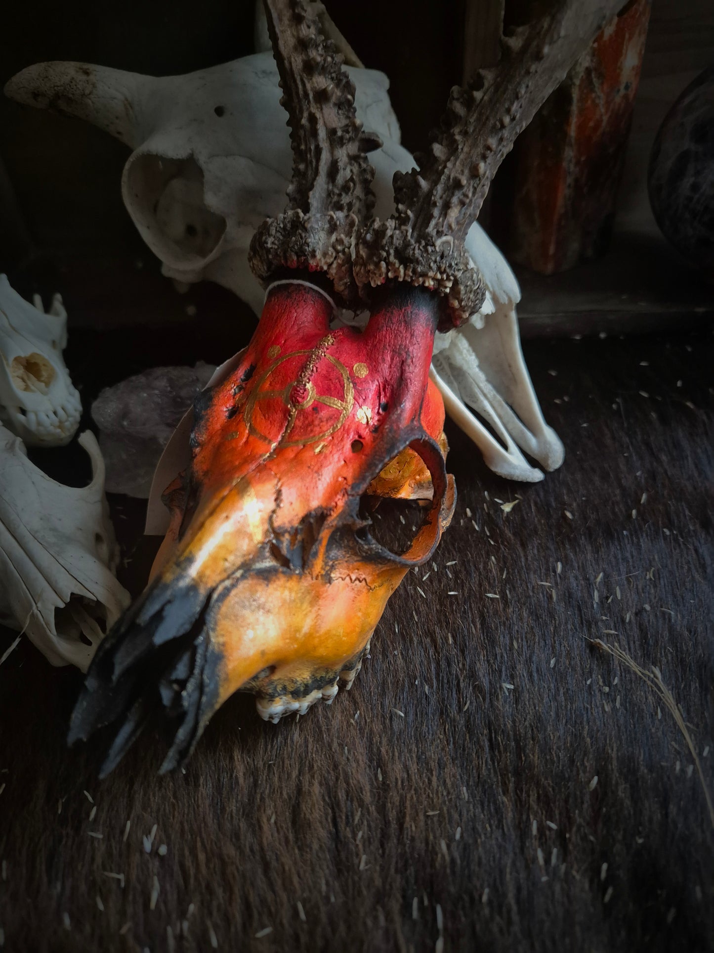 Hand Painted Deer Skull