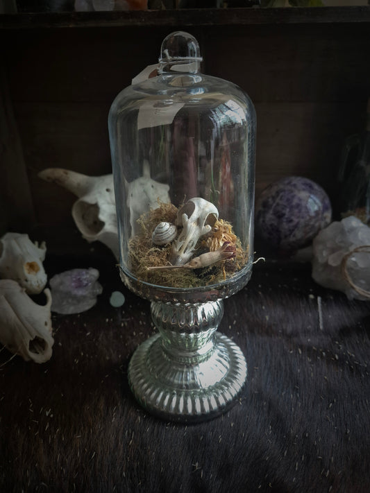 Grouse Skull Dome on Stand