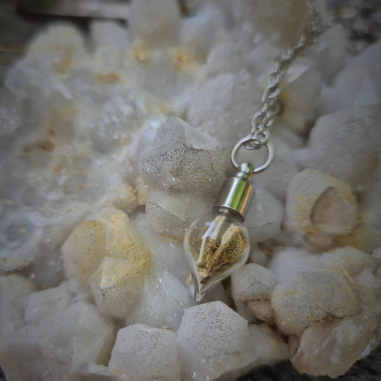 Curio Glass Vial Necklace