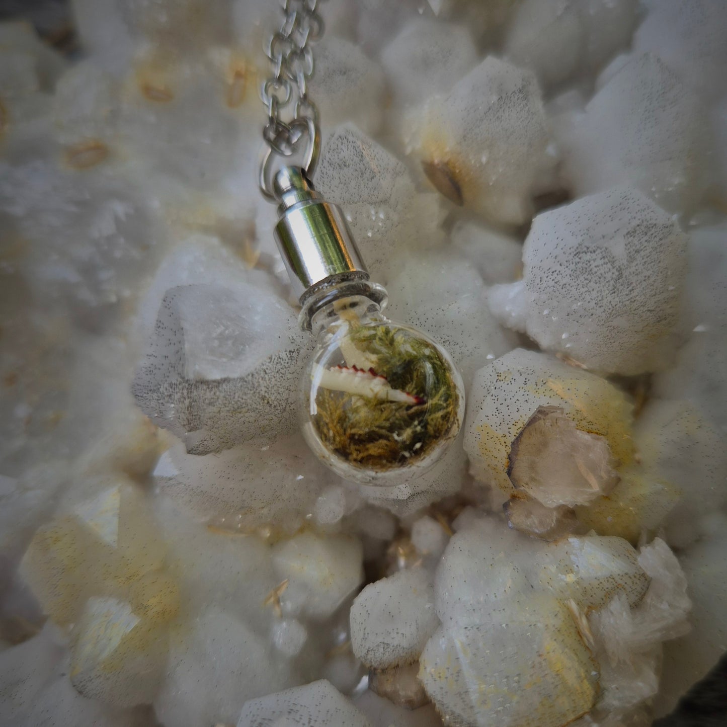 Curio Glass Vial Necklace