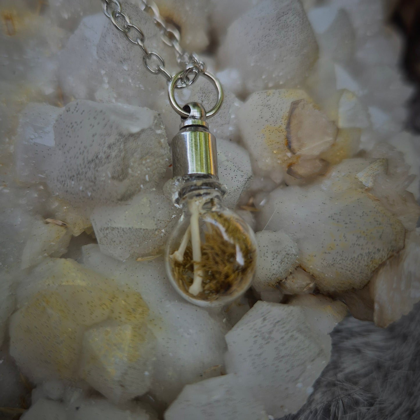 Curio Glass Vial Necklace