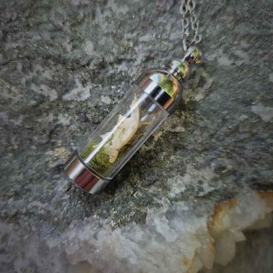 Curio Glass Vial Necklace