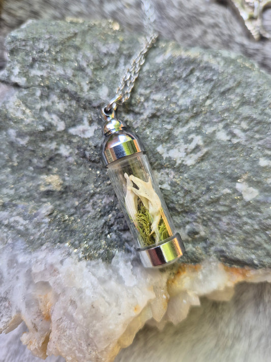 Curio Glass Vial Necklace