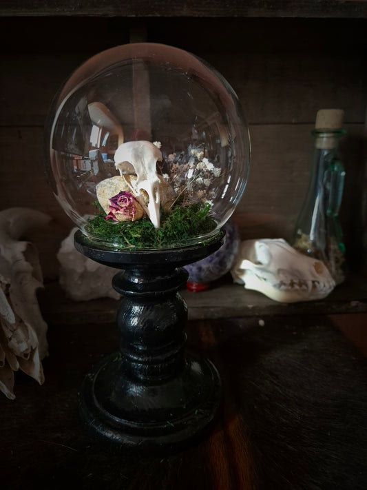 Crow Skull on Stand