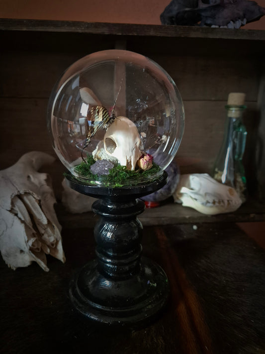 Squirrel Skull on Stand