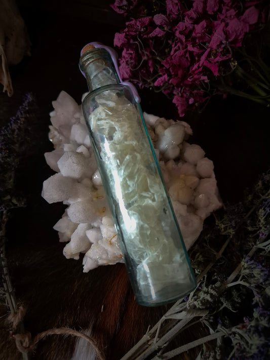 Vintage Bottle and Snake Skin