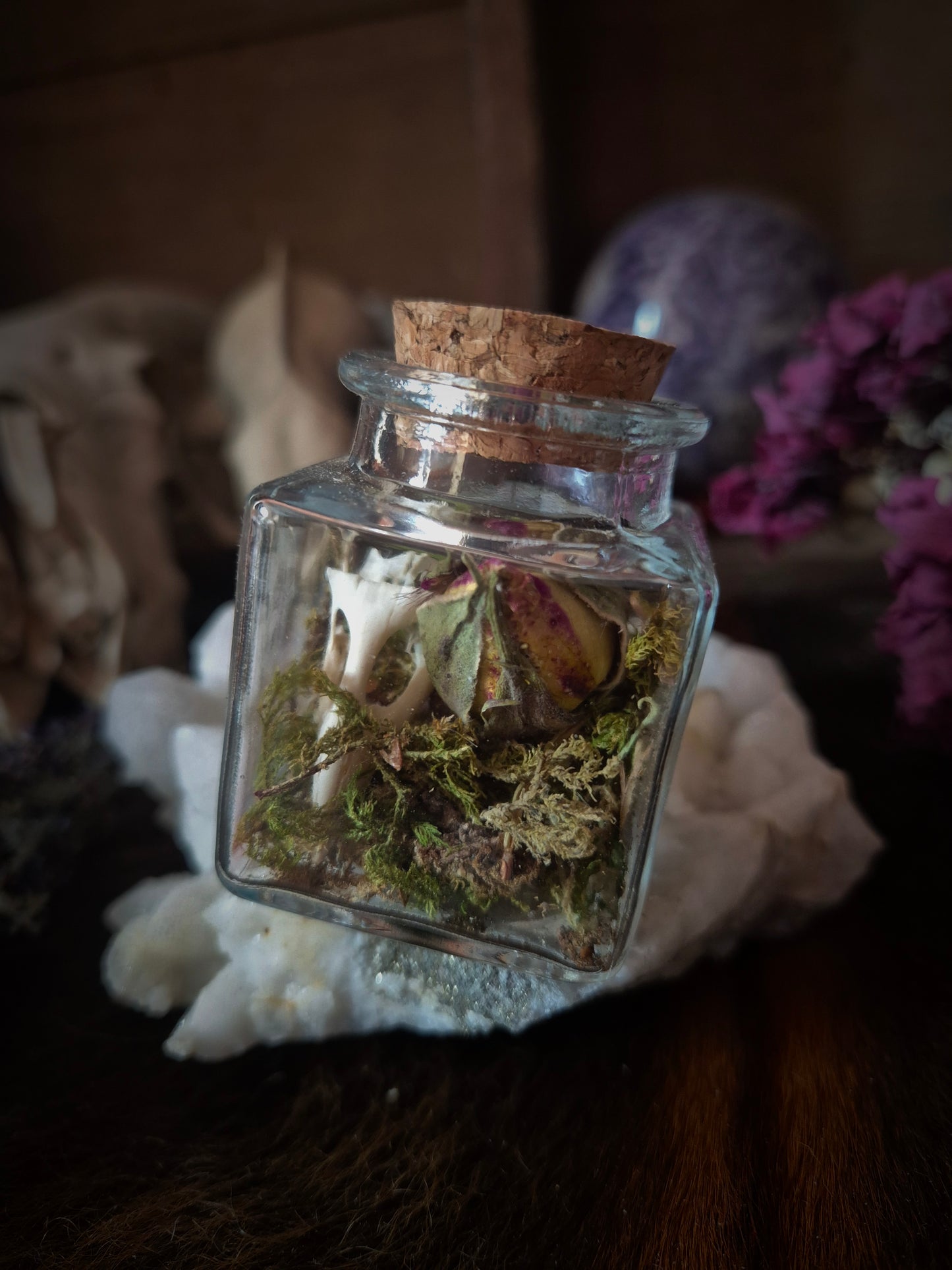 Square Curio Jar