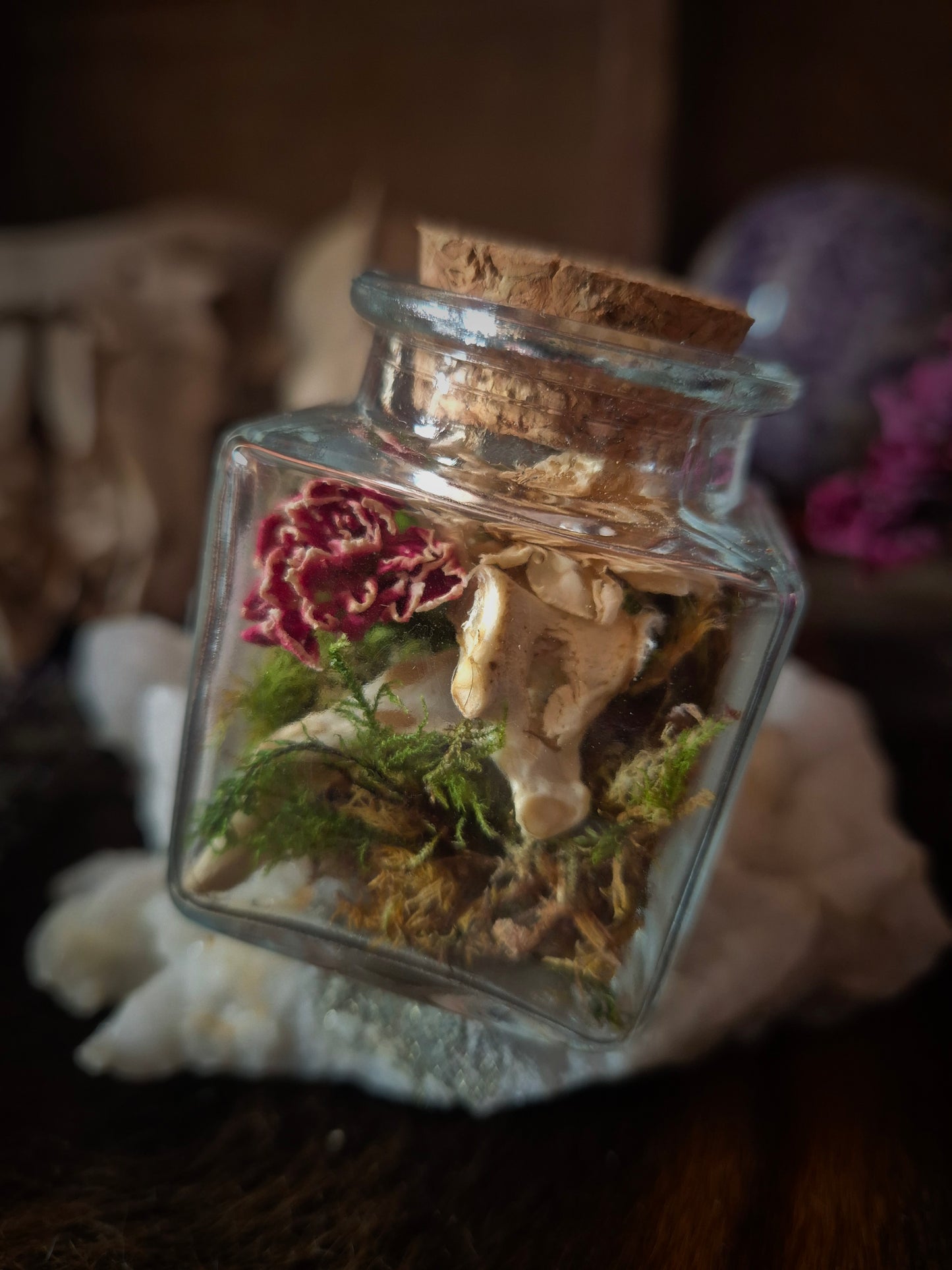 Square Curio Jar