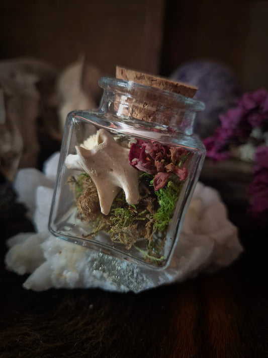 Square Curio Jar