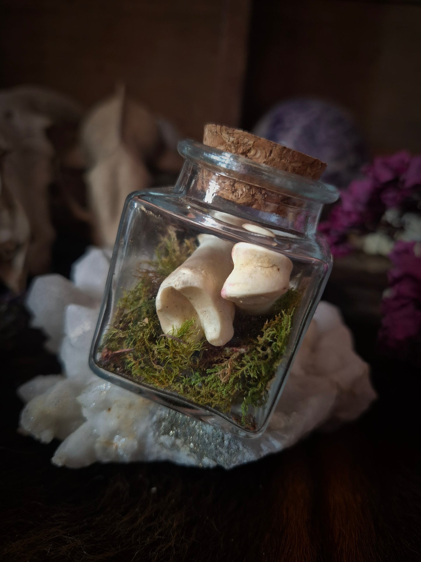 Square Curio Jar