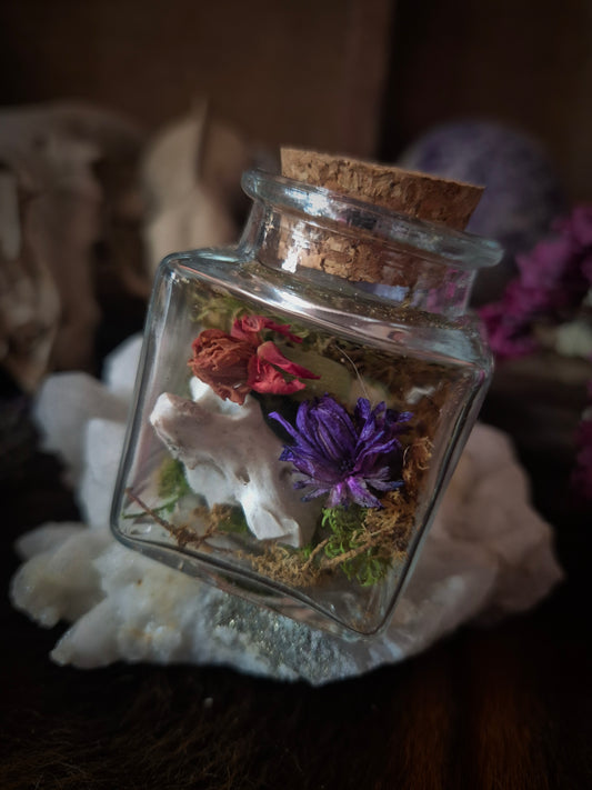 Square Curio Jar