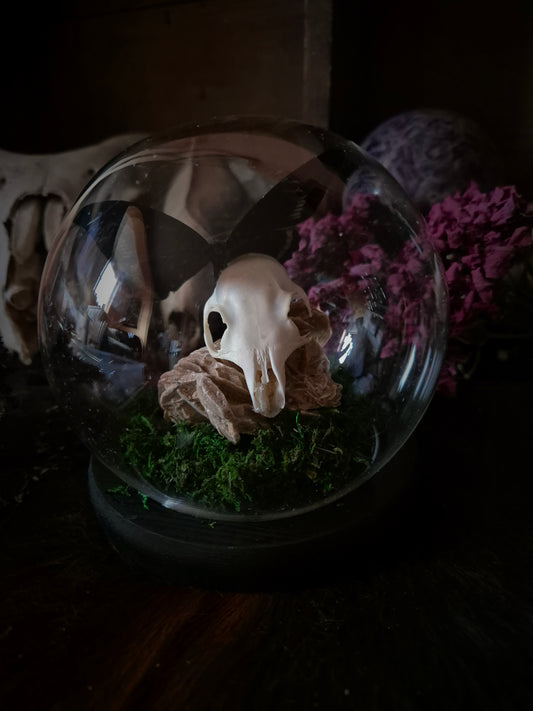 Squirrel Skull and Butterfly Bubble Dome