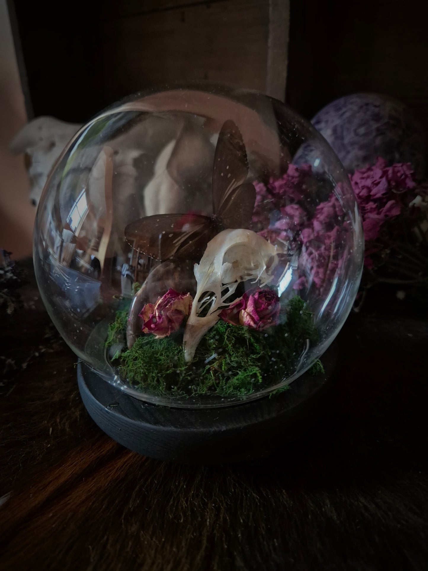 Grouse Skull and Butterfly Bubble Dome