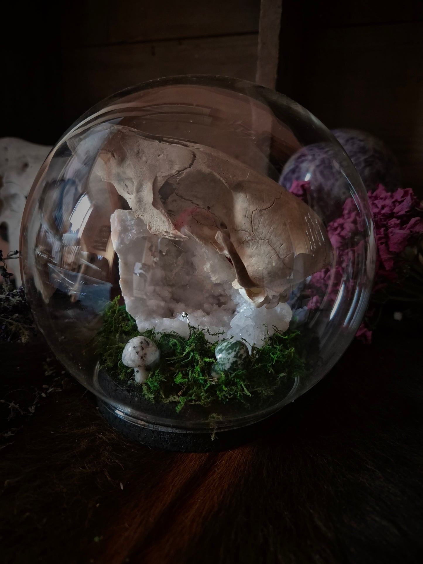 Fox Skull Bubble Dome