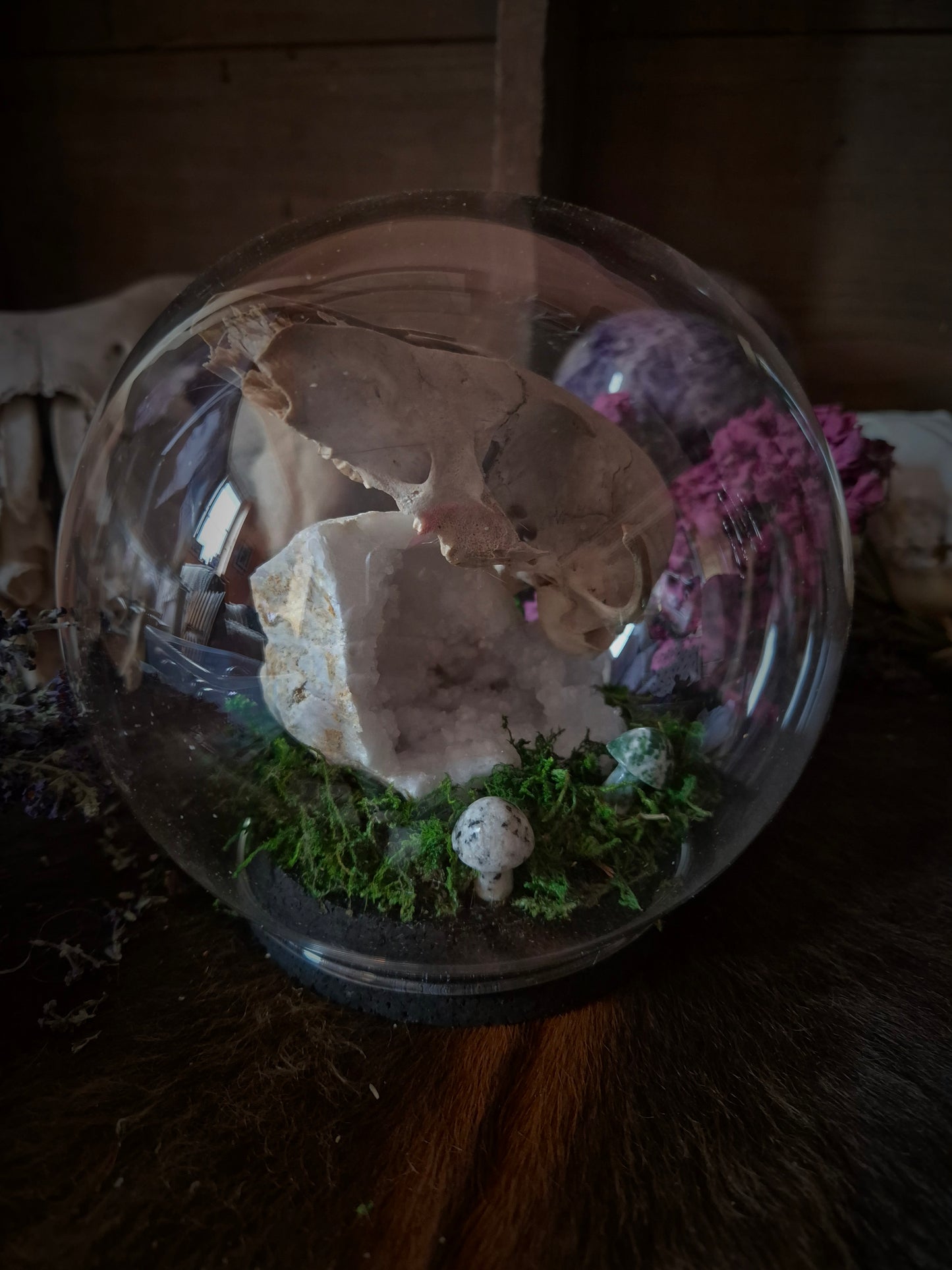 Fox Skull Bubble Dome