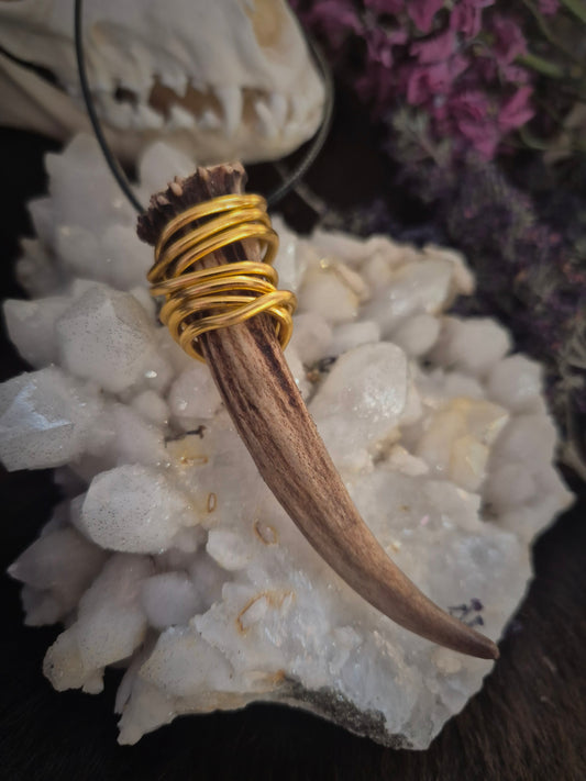 Muntjac Antler Pendant