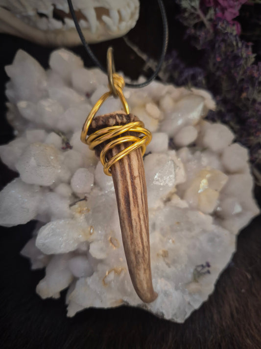 muntjac antler pendant