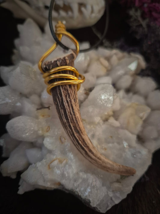 muntjac antler pendant