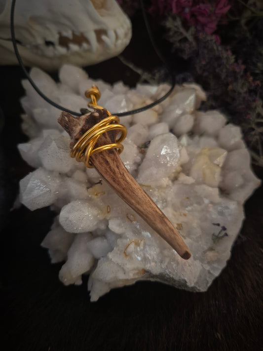 Muntjac Antler Pendant